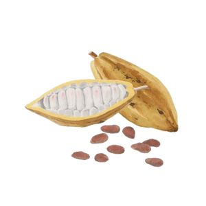 kakaosmörkärnor